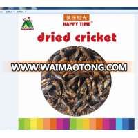 Pets Products Feed Insects Dried Crickets Pets Food