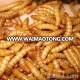 Natural Dried Mealworms Special for your Pets