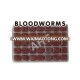 frozen bloodworm