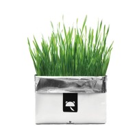 Vetreska cat grass soilless seeds in paper bag cat snack wholesale